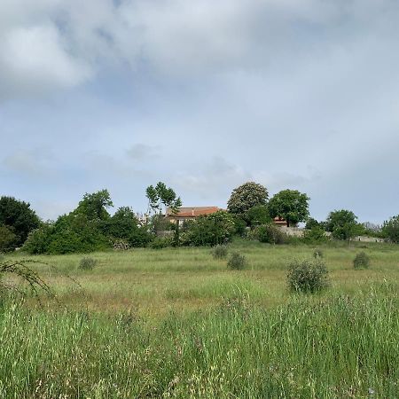 Domaine Le Commandaire Roumoules Екстериор снимка