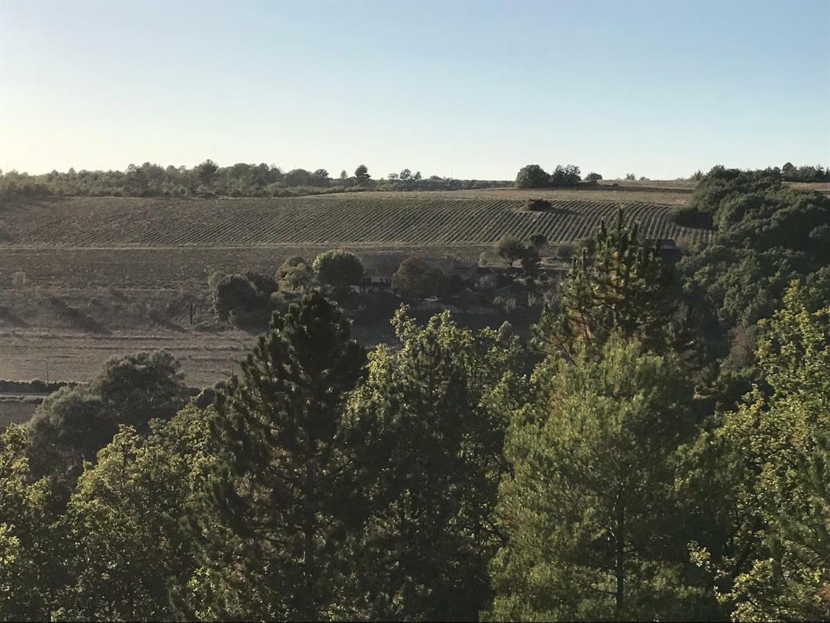 Domaine Le Commandaire Roumoules Екстериор снимка