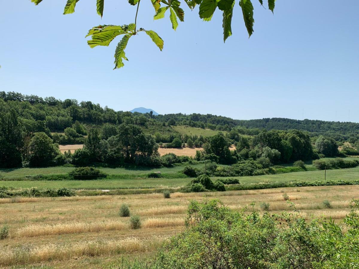 Domaine Le Commandaire Roumoules Екстериор снимка